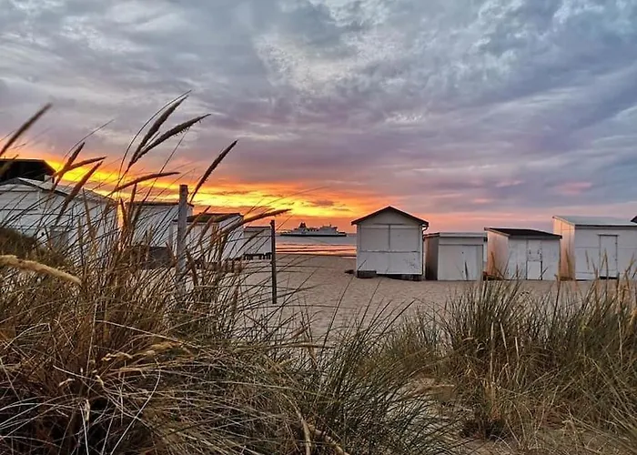 Appart 4 Pers Plage Vue Mer